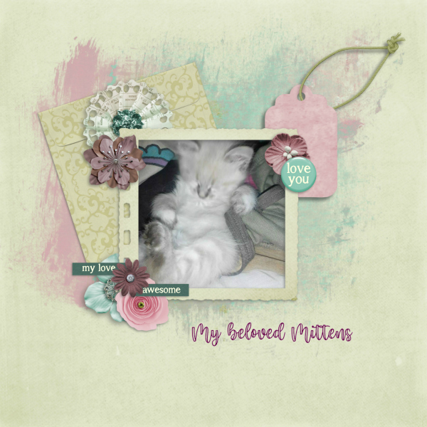My beloved Mittens