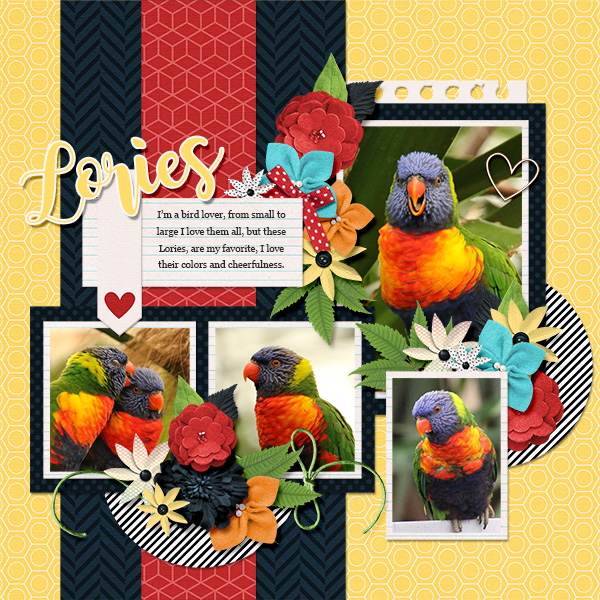 My birdie friends