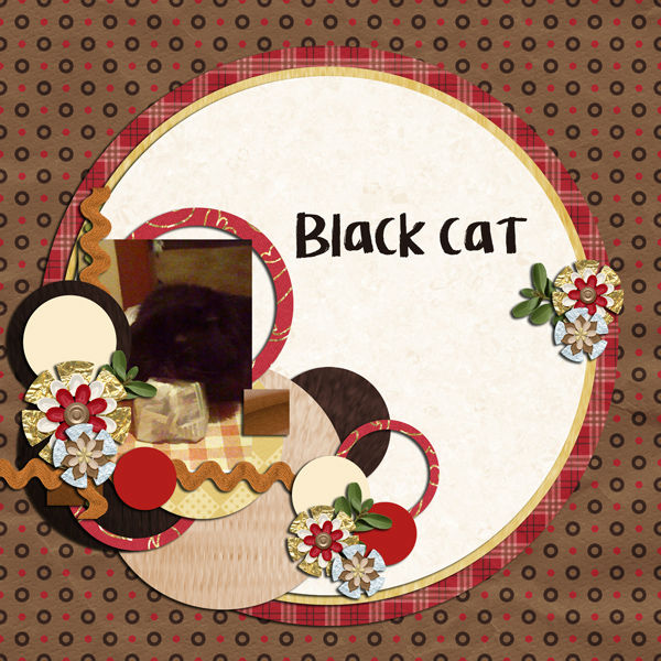 My Blackie