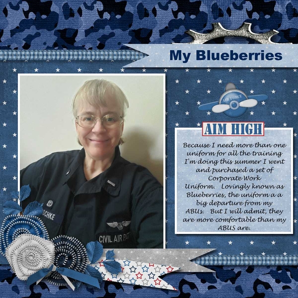 My Blueberries