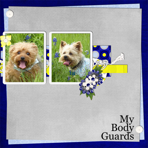 My Body Guards