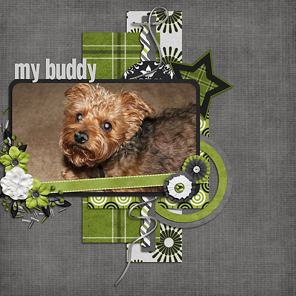 My Buddy