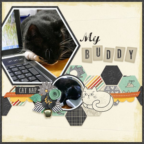 My Buddy