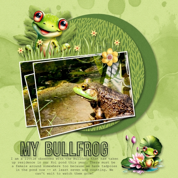 My Bullfrog - 2024