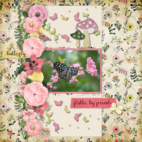 My Butterfly Friend