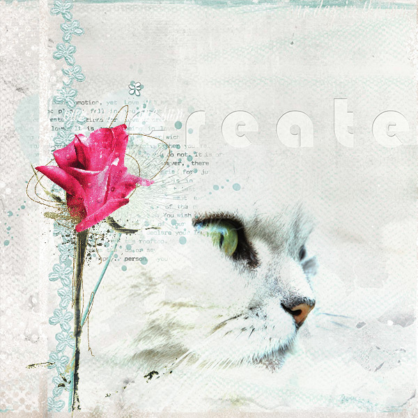 My Cat