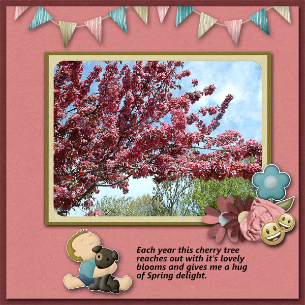 My Cherry Tree