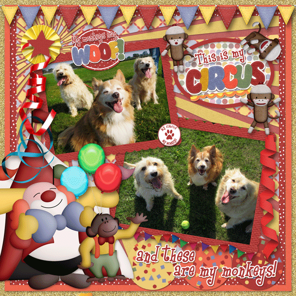 My circus, my monkeys