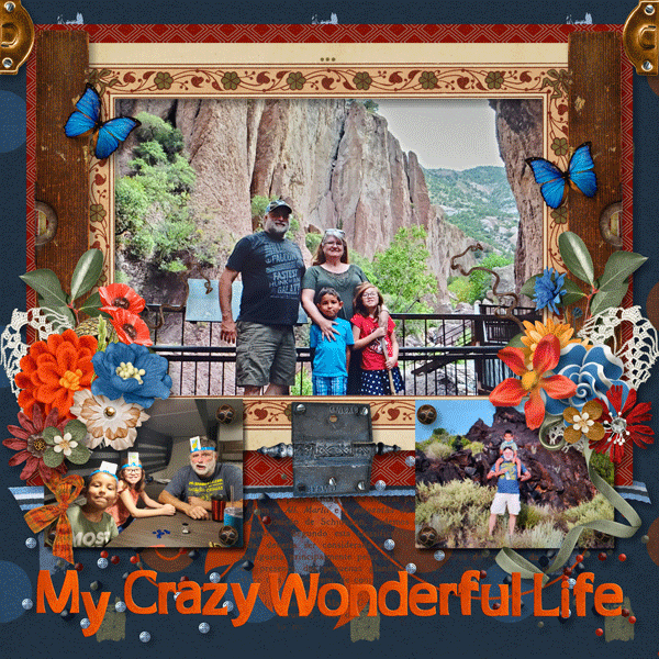 My Crazy Wonderful Life