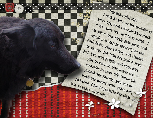 My Dearest Pip