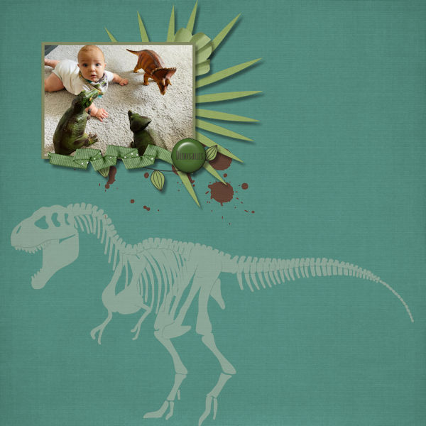 My Dinosaurs