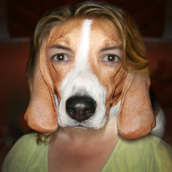 My Doggme