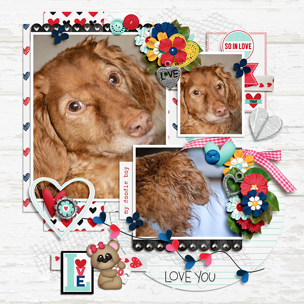 My Doodle Boy