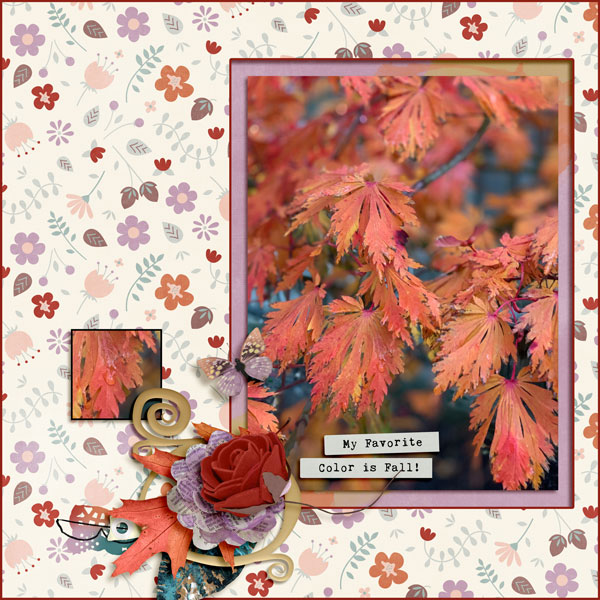 My Fall