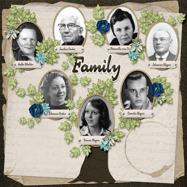My family tree