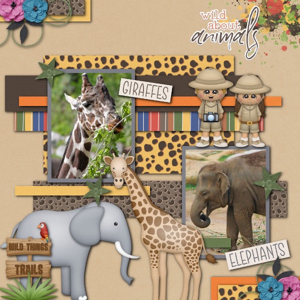 My Fav Zoo Animals