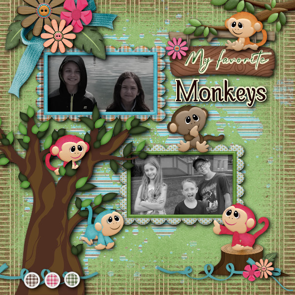 My Favorite Monkeys!
