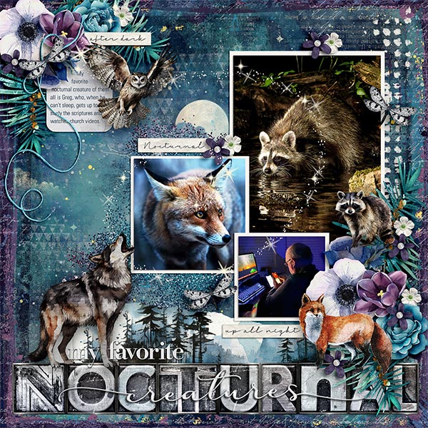 MY FAVORITE NOCTURNAL CREATURES