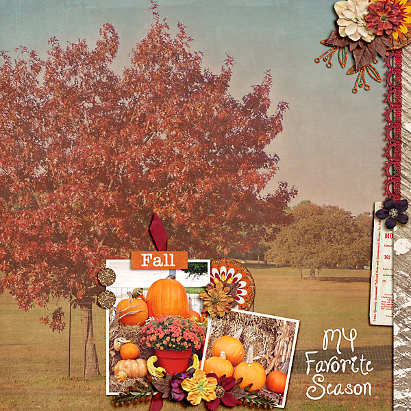 My Favorite Season