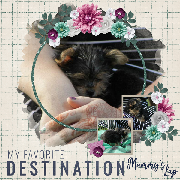 My Favourite Destination: Mummy's Lap