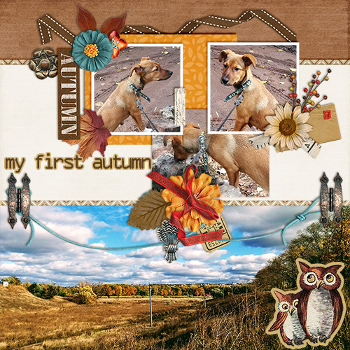 My First Autumn