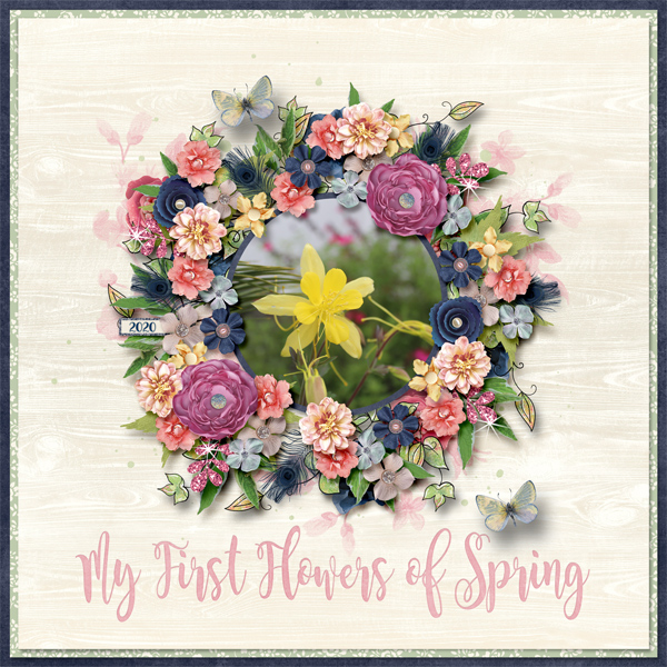 My First Flowers of Spring
