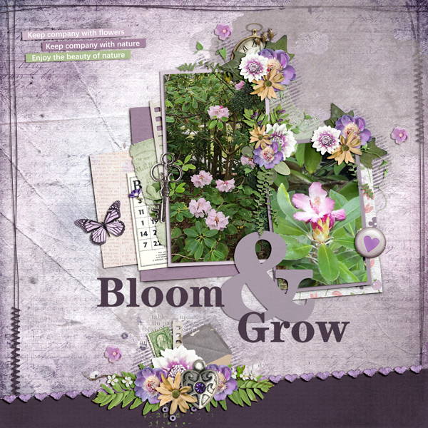 my flower garden