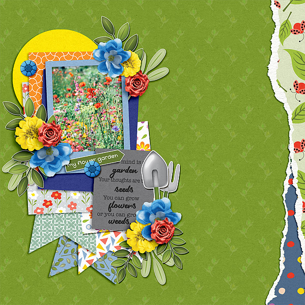 My Flower Garden