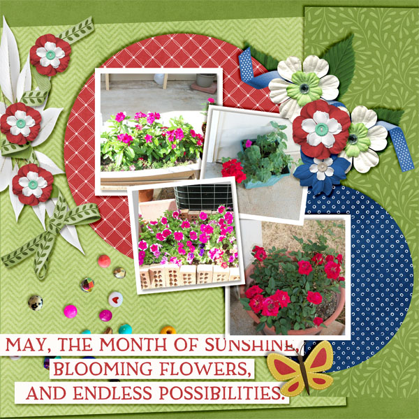 My Flowers 2013