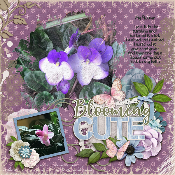 My Flowers