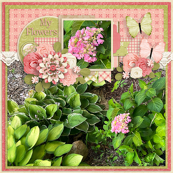 My Flowers
