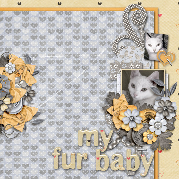 My Fur Baby