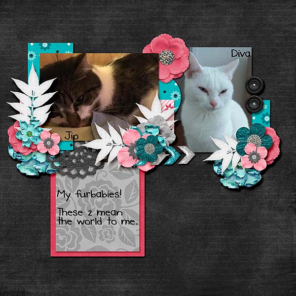 My Furbabies
