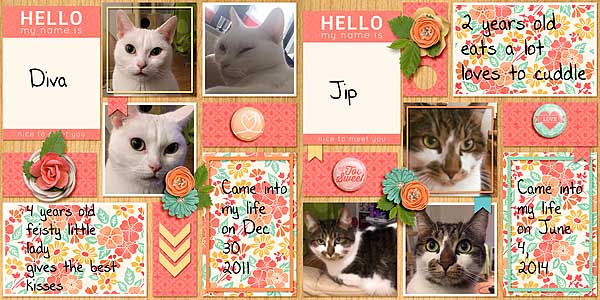 My Furbabies