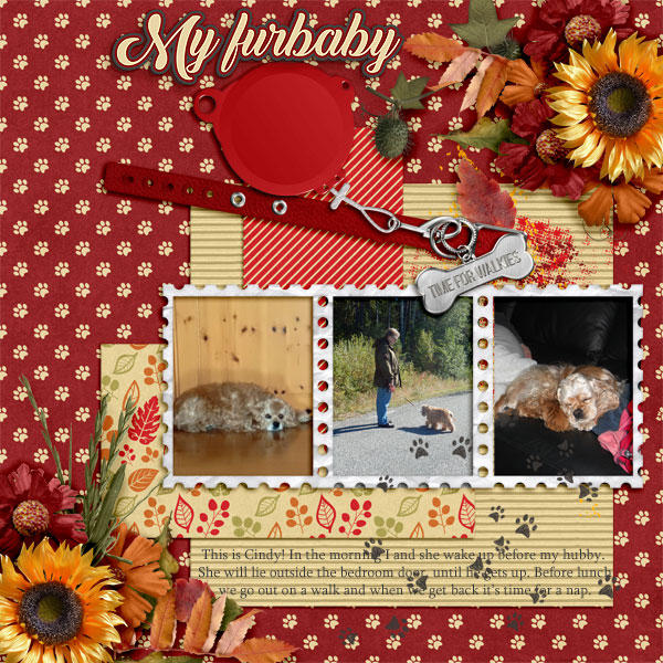 My-furbaby
