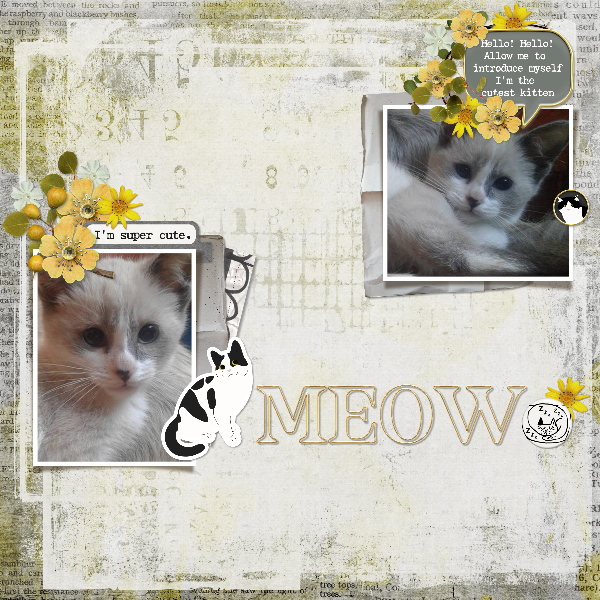 My furbaby