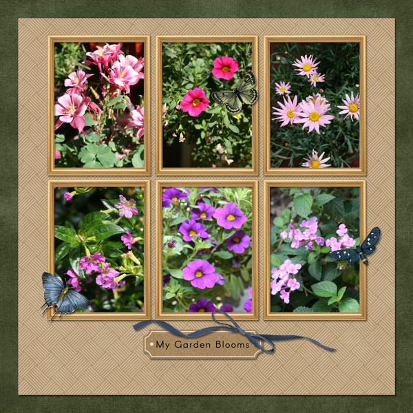 My Garden Blooms