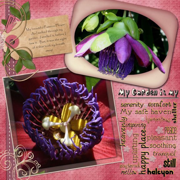 My Garden is My....