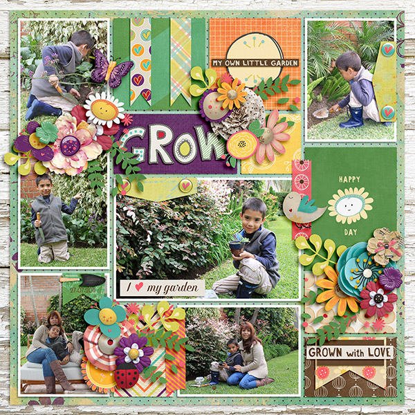 my garden