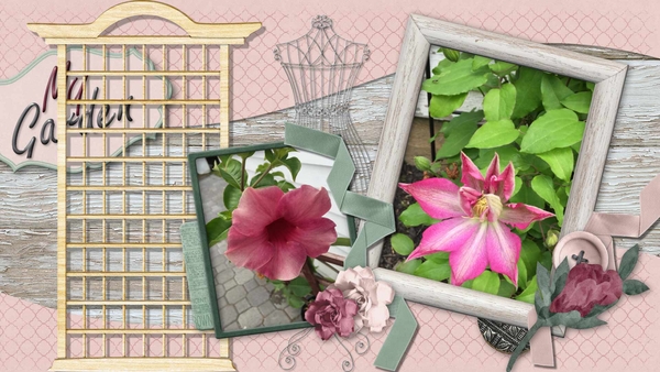 My Garden