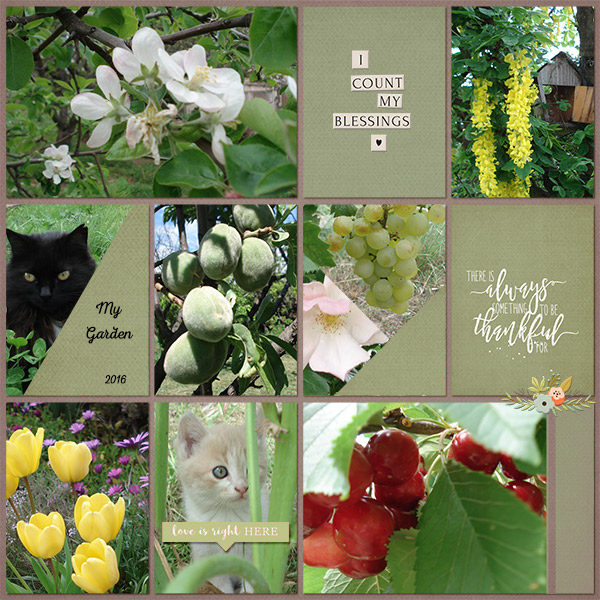 My Garden