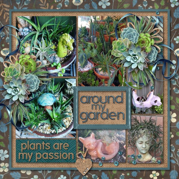 my garden