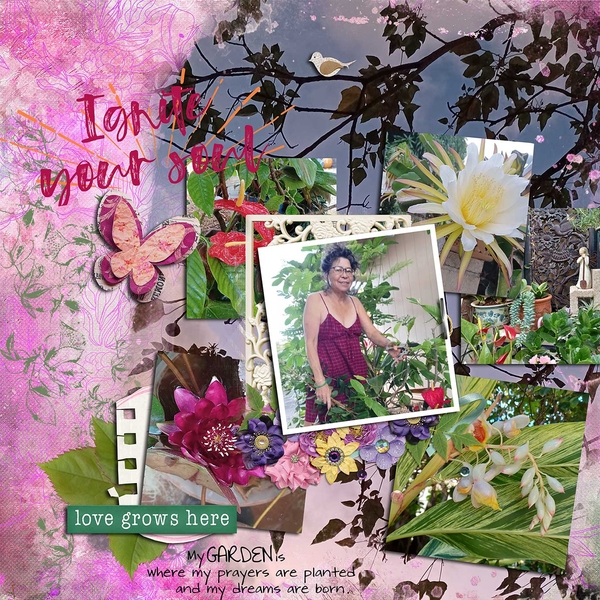 My Garden