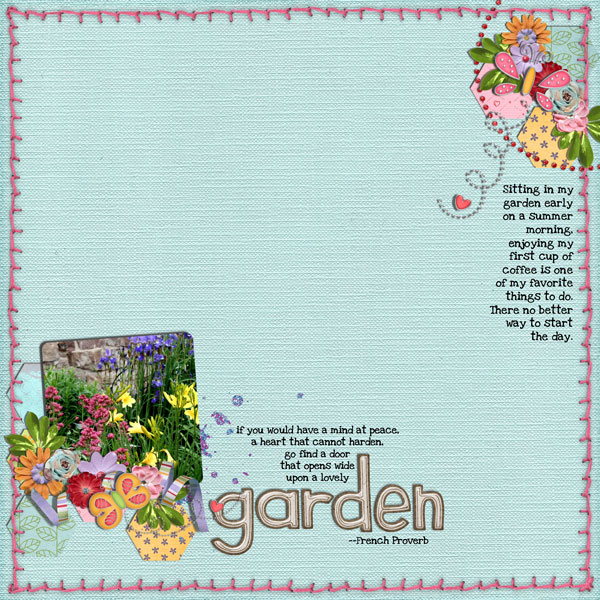 my garden