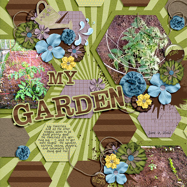My Garden