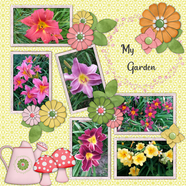 My Garden