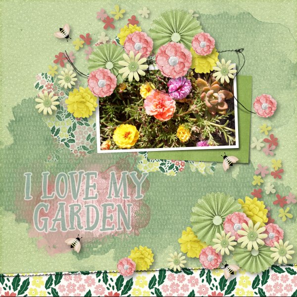 my garden