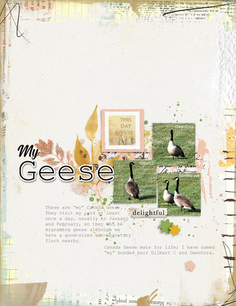 My Geese