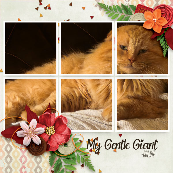 My Gentle Giant