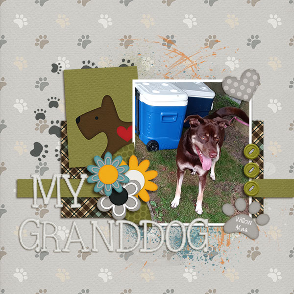 My Granddog